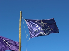 Scouts Parsival
