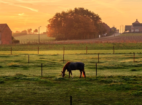GECORO in Sint-Katelijne-Waver niet representatief en niet onafhankelijk samengesteld